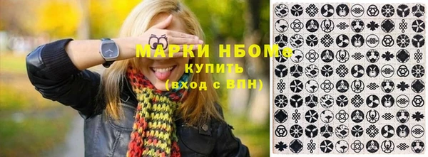 ешки Алексин