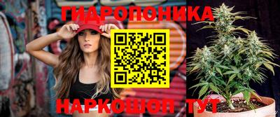 дживик Чебаркуль