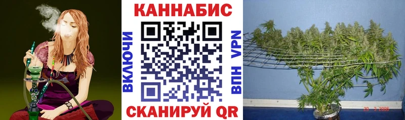 Марихуана план  это как зайти  Ачинск 